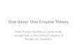 One Gene- One Enzyme Theory - earlhaig.ca Ramlochan/GRADE 12... · One-Gene/One-Polypeptide Hypothesis Beadle and Tatum concluded that one gene codes for one enzyme. This relationship