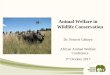 Animal Welfare in Wildlife Conservation - aawconference.org · awareness towards animal welfare in wildlife conservation • Provisions of wild animal welfare be strengthened during