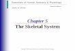 The Skeletal System - Skeletal...آ  â€¢In embryos, the skeleton is primarily hyaline cartilage â€¢During