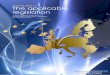 Practical guide on the applicable legislation in the ... v chujbina... · Practical guide on the applicable legislation in the European Union (EU), the European Economic Area (EEA)