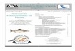 Manual de Enfermedades de ACUACULTURA Pecesindustriaacuicola.com/biblioteca/Enfermedades de peces/Manual de... · y mejorar la salud de los peces para obtener el óptimo desarrollo