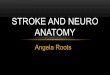 STROKE AND NEURO ANATOMY - londonscn.nhs.uk · Left Brain Analytic thought Logic Language Reasoning Science and Math Written Numbers skills Right hand control Right Brain Art awareness
