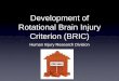 Development of Rotational Brain Injury Criterion - UNECE · Development of Rotational Brain Injury Criterion (BRIC) Human Injury Research Division. WS-05-07