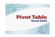 Piot Table - dtklogistics.net · Với PivotTable 2003, bạn có thể phân tích theo %, có thể tạo field tính toán và phân tích field mới này, và nhiều tính năng