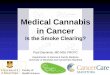 Medical Cannabis in Cancer - cancercare.mb.ca · 1Department of Internal Medicine, University of Manitoba, Winnipeg, MB, Canada 2 Departments of Medical Oncology and Hematology CancerCare
