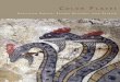 COLOR PLATES - frere.dom.free.frfrere.dom.free.fr/EtruscanImagery.pdf · Scala/Art Resource, New York, IV.2 Staatliche Antikensammlungen und Glyptothek, Munich, VI.15 Toledo Museum