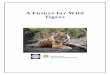 A Future for Wild Tigers - siteresources.worldbank.orgsiteresources.worldbank.org/SOUTHASIAEXT/Resources/Publications/448813... · Cover Photo: John Seidensticker / Save the Tiger