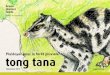 Plaidoyer pour la forêt pluviale tong tana - bmf.ch · Mount Kinabalu, à Sabah. Elle montre la profusion de formes et l’infinité des possibilités dans la nature. Le Ghost Footprint