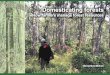 Domesticating forests: how farmers manage forest resources · drawn the examples of damar agroforests in the Pesisir, rubber agroforests in Sumatra (also analysed by Arild Angelsen