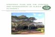 Strategic Plan for the Control and Management of Albizia ... · 2 Introduction Albizia infests large swaths of our islands. Its rapid growth crowds out native species, its nitrogen