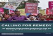 CALLING FOR REMEDY - business-humanrights.org · system that is available to garment workers; however, its online database reports that DIFE has received only 25 complaints since
