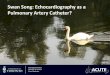 Swan Song: Echocardiography as a Pulmonary Artery Catheter? · Interdepartmental Division of Critical Care Medicine The swan is without spot, and it sings sweetly as it dies, that