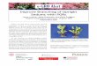 e-GRO Alert · Volume 2, Number 13 March 2013 NC STATE UNIVERSITY Floriculture e-GRO Alert When we talk about using plant growth regulators (PGRs) to improve branching of