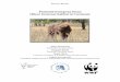 Potential European bison Bison bonasus) habitat in PROJECT REPORT. 1 . Potential European bison (Bison