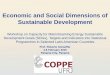 Economic and Social Dimensions of Sustainable Development · IAEA International Atomic Energy Agency Economic and Social Dimensions of Sustainable Development Prof. Roberto Schaeffer