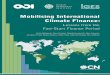 Mobilising International Climate Finance - CBD Mobilising International Climate Finance: Lessons from