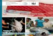 Action Plan Indonesian Tuna Fisheries - Seafood Savers · MSC Dewan Pengawas Kelautan Marine Stewardship Council MoU Nota Kesepahaman Memorandum of Understanding NPOA Rencana Kerja