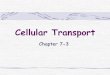 Cellular Transport - Weeblyjaentschypantsbiology.weebly.com/.../6/2/6/26264482/7-3_cell_transport.pdf · Fluid Mosaic Model Fluid mosaic model: the idea that the cell membrane is