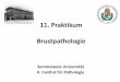 11. Praktikum Brustpathologie - semmelweis.husemmelweis.hu/patologia2/files/2018/03/11.-Praktikum_Mamma.pdf · Überblick 1. - Gutartige Läsionen - Puerperale Mastitis - Nicht-puerperale