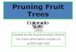 Pruning Fruit Trees - static.colostate.edu · Pruning Fruit Trees Created by the Grand Junction District For more information contact us at 970-248-7325
