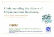 Understanding the drivers of Organizational Resilience 1 CIRERO Centre dâ€™Ingأ©nierie et de REcherche