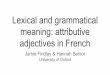 meaning: attributive Lexical and grammatical adjectives in ...users.ox.ac.uk/~sjoh2787/findlay-senior-lfg2018-slides.pdf · Crucial difference from our proposal: they claim both positions