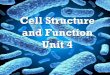 Cell Structure & Function - pearlandbiology.weebly.com · What does size have to do with it? •Prokaryotic cells are much smaller than eukaryotic cells. Why? –Smaller surface area