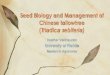 Seed Biology and Management of Chinese tallowtree · Heather VanHeuveln . University of Florida . Masters in Agronomy . Seed Biology and Management of Chinese tallowtree (Triadica