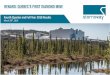 Fourth Quarter and Full Year 2018 Results - s2.q4cdn.coms2.q4cdn.com/850616047/files/doc_presentations/2019/03/Stornoway-Q4... · lower than expected, but recovered grade and carats