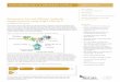 Proteomics: Fast and Efficient Antibody PROTEIN EXPRESSION ... · dna cloning dna amplification pcr epigenetics rna analsis librar prep for next gen sequencing protein expression