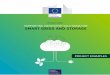Horizon 2020 SUPPORTING INNOVATIVE SOLUTIONS FOR SMART ... · SUPPORTING INNOVATIVE SOLUTIONS FOR SMART GRIDS AND STORAGE Horizon 2020 PROJECT EXAMPLES. 2 3 Funding R&I projects for