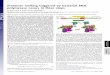 Promoter melting triggered by bacterial RNA polymerase ... · Promoter melting triggered by bacterial RNA polymerase occurs in three steps Jie Chena, Seth A. Darstb, and D. Thirumalaia,c,1