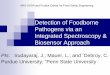 ARS-USDA and Purdue Center for Food Safety Engineering · Objectives Develop nanoparticle biosensors for pathogen detection Develop surface enhanced-Raman spectroscopic approaches