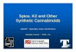 Session 11 Spcie, K2 and other Synthetic Cannabiods.pps · CNS stimulant Increase BP and ... Microsoft PowerPoint - Session 11 Spcie, K2 and other Synthetic Cannabiods.pps [Compatibility