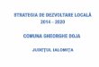 Strategia de dezvoltare local - gheorghedojail.ro Publice/Transparenta/2014... · atractive pe plan interna ional o să amelioreze toate aspectele legate de educa ie şi formare (excelen