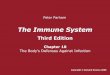 The Immune System 3/e - Universiteit Utrechttheory.bio.uu.nl/immbio/sheets/Chapter10.pdf · Naive lymphocytes activated in a Peyer's patch give rise to effector cells that travel