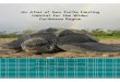 An Atlas of Sea Turtle Nesting Habitat for the Wider ... · An Atlas of Sea Turtle Nesting Habitat for the Wider Caribbean Region Wendy Dow, Karen Eckert, Michael Palmer and Philip