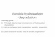 Aerobic hydrocarbon degradation - uni-due.de · b) Some bacs can disproportionate NO into oxygen and nitrogen c) Bacs produce water by reducing oxygen in the respiratory chain d)