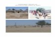 ASSESSMENT REPORT ON DROUGHTIN ARID ZONES OF SINDH - … · 2 thardeep rural development programme emergency unit assessment report on drought situation in arid zones of sindh 2004