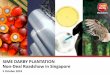 SIME DARBY PLANTATION Non-Deal Roadshow in Singapore · Business Overview Integrated Plantation Company Involved in the Entire Palm Oil Value Chain 5 Upstream Downstream Others Oil