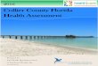 Collier County Florida Health Assessment - Daniel Im for 2014 places the population of Collier County