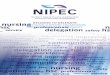DECIDING TO DELEGATE: A DECISION SUPPORT FRAMEWORK …nipec.hscni.net/download/projects/current_work/provide_adviceguidance... · Leading and inspiring nurses and midwives to achieve
