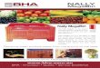 NALLY - irp-cdn.multiscreensite.com · NALLY MegaBin BHA - Innovation • Quality • Service Excellence Leaders in Industrial Packaging Solutions Delivering fresh produce safely