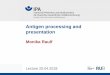 Antigen processing and presentation - ruhr-uni-bochum.de · surface of an antigen-presenting cell (APC). What is Antigen presentation ? Monika Raulf - Antigen processing and presentation