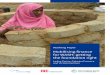 Mobilising finance for WASH: getting the foundation right Working Paper Mobilising finance for WASH:
