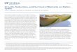 Growth, Reduction, and Survival of Bacteria on Melon Types · FSHN12-07 Growth, Reduction, and Survival of Bacteria on Melon Types1 Thao P. Nguyen, Michelle D. Danyluk, and Keith