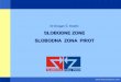 SLOBODNE ZONE SLOBODNA ZONA PIROT - freezonepirot.com · Šta su to slobodne zone? AMA Slobodna zona je deo teritorije Srbije, posebno ograĊen i oznaĉen, u kome se obavljaju delatnosti