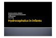 Floreine(JemimaJOSEPH, English,forHealth,Professionals ... · United’States:3cases ofcongenital hydrocephalus,per 1,000,live,births,,! International:’About 100,000shunts implanted,each,yearin,
