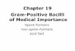 Chapter 19 Gram-Positive Bacilli of Medical Importance · Mycobacterium leprae • Hansen's bacillus – Strict parasite (armadillo), slow grower – Leprosy - chronic progressive