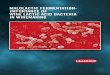 MALOLACTIC FERMENTATION- IMPORTANCE OF · Dear reader, This animated PDF is a promotional tool presenting extracts from Lallemand’s new publication Malolactic Fermentation – Importance